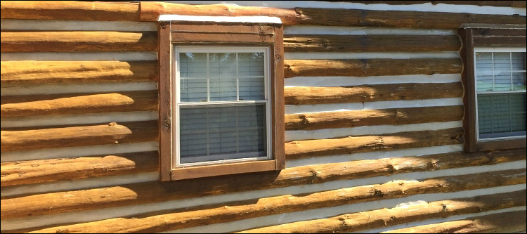 Log Home Whole Log Replacement  Brooklet, Georgia