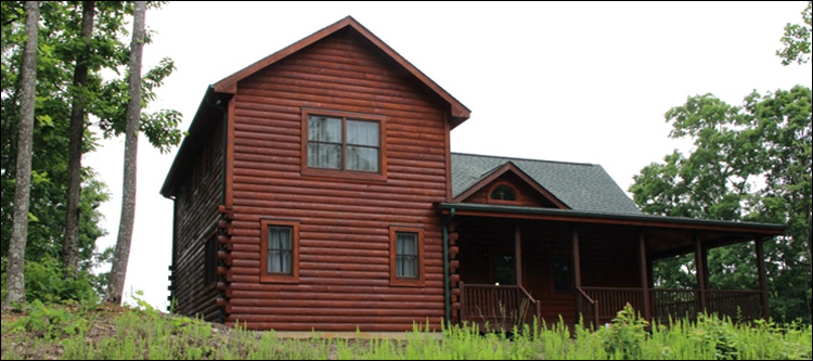 Professional Log Home Borate Application  Bulloch County, Georgia